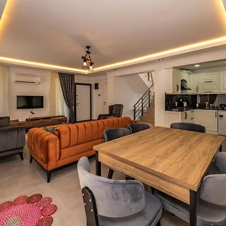 Salkim- 4 Bedroom In Oludeniz 别墅 *